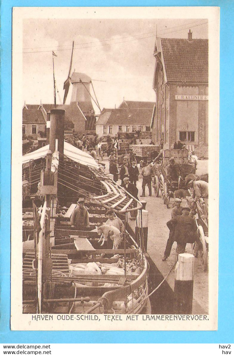 Texel Oudeschild Haven Lammeren Molen RY55876 - Texel