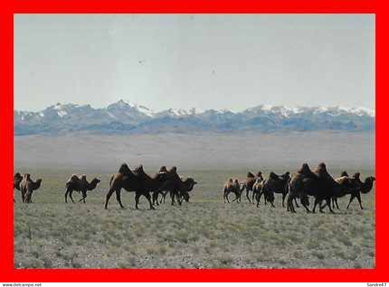 2 CPSM/gf MONGOLIE.  Ail In Gobi...*2351 - Mongolie