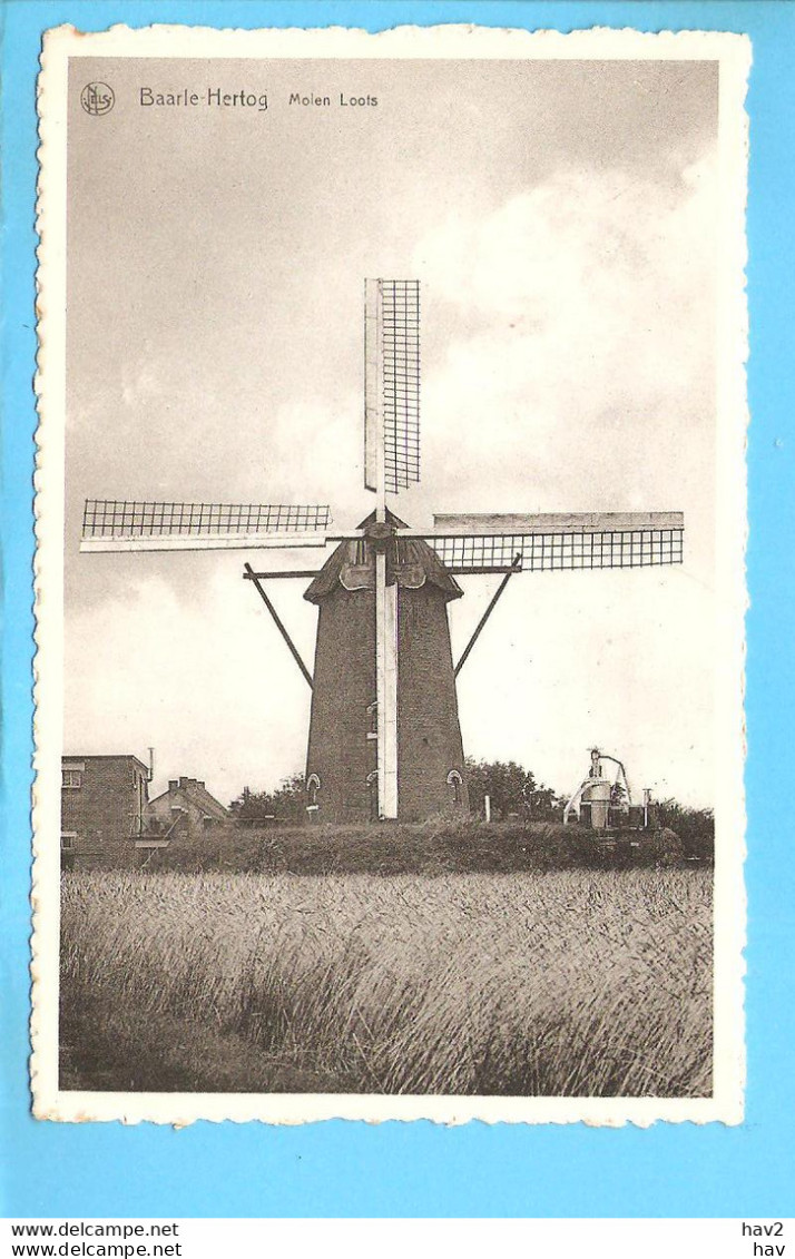 Baarle Hertog Molen Loots RY56623 - Baarle-Hertog