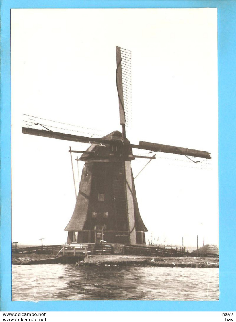 Alphen Rijn Molen Polder Vrouwgeest Repro ML2095 - Alphen A/d Rijn