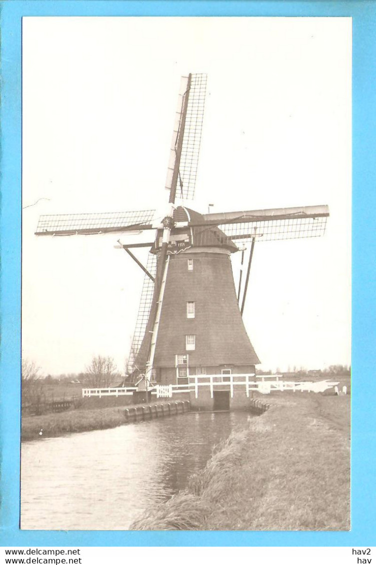 Alphen A D Rijn Molen Foto/repro ML1957 - Alphen A/d Rijn