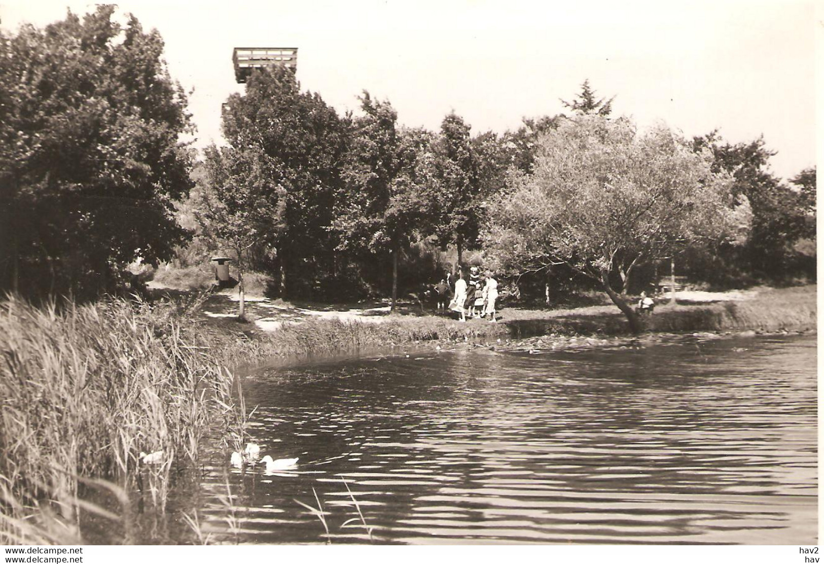 Den Helder Park Donkere Duinen Foto Prentbriefkaart KE3675 - Den Helder