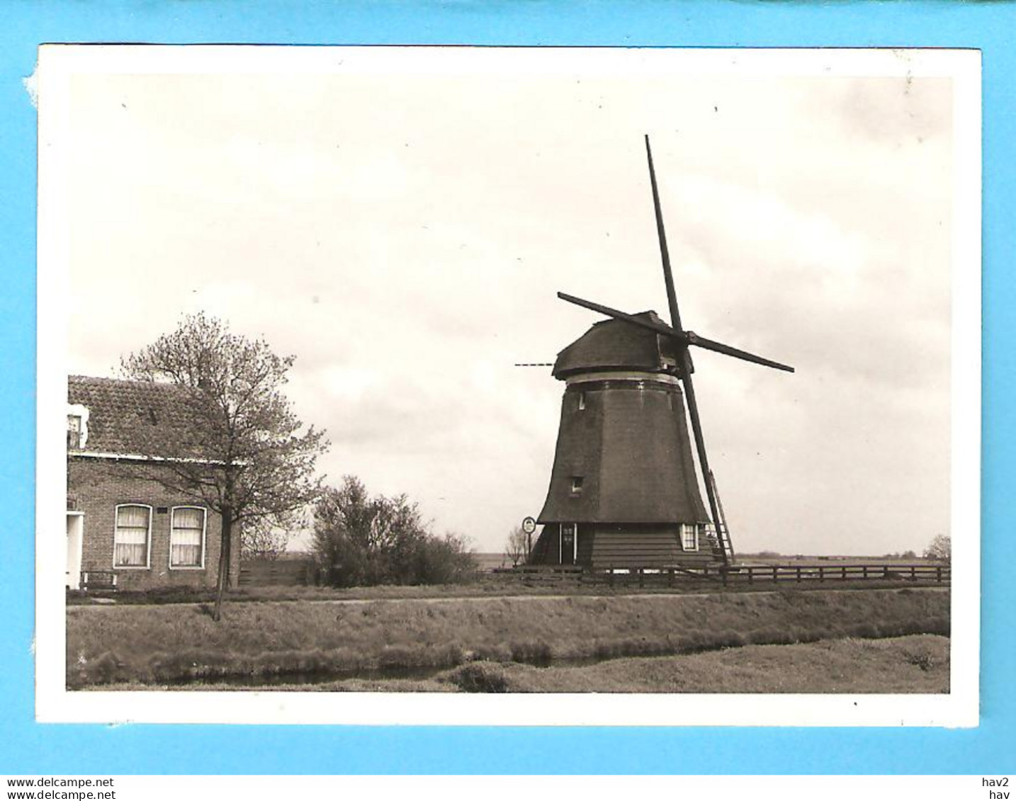 Edam Molen Foto/repro ML2831 - Edam