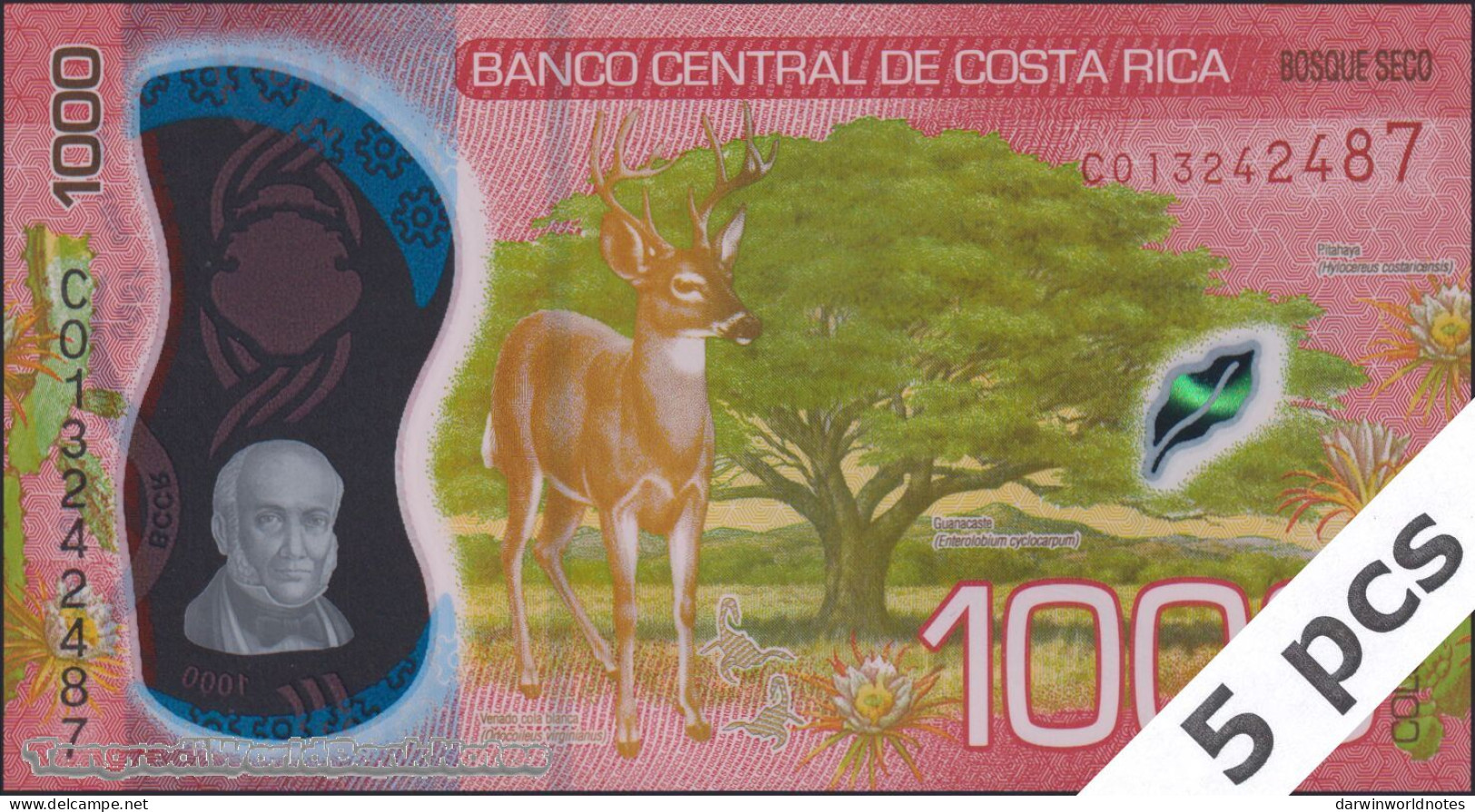 DWN - COSTA RICA P.280 - 1000 1.000 Colones 2019 (2021) UNC Polymer - Various Prefixes DEALERS LOT X 5 - Costa Rica