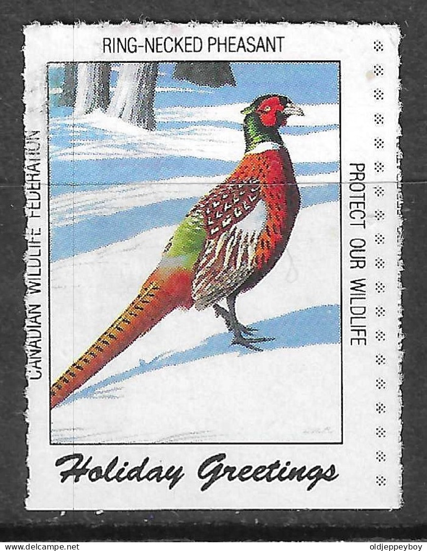 RING NECKED PHEASANT  WILDLIFE HOLIDAY GREETINGS VIGNETTE Reklamemarke CINDERELLA Erinnophilie RARE - Erinnofilia