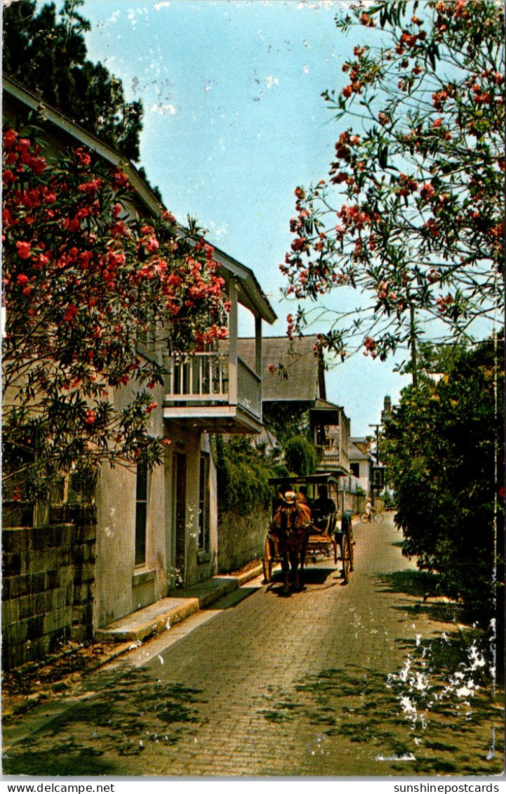 Florida St Augustine Sightseeing Carriage On Aviles Street  - St Augustine