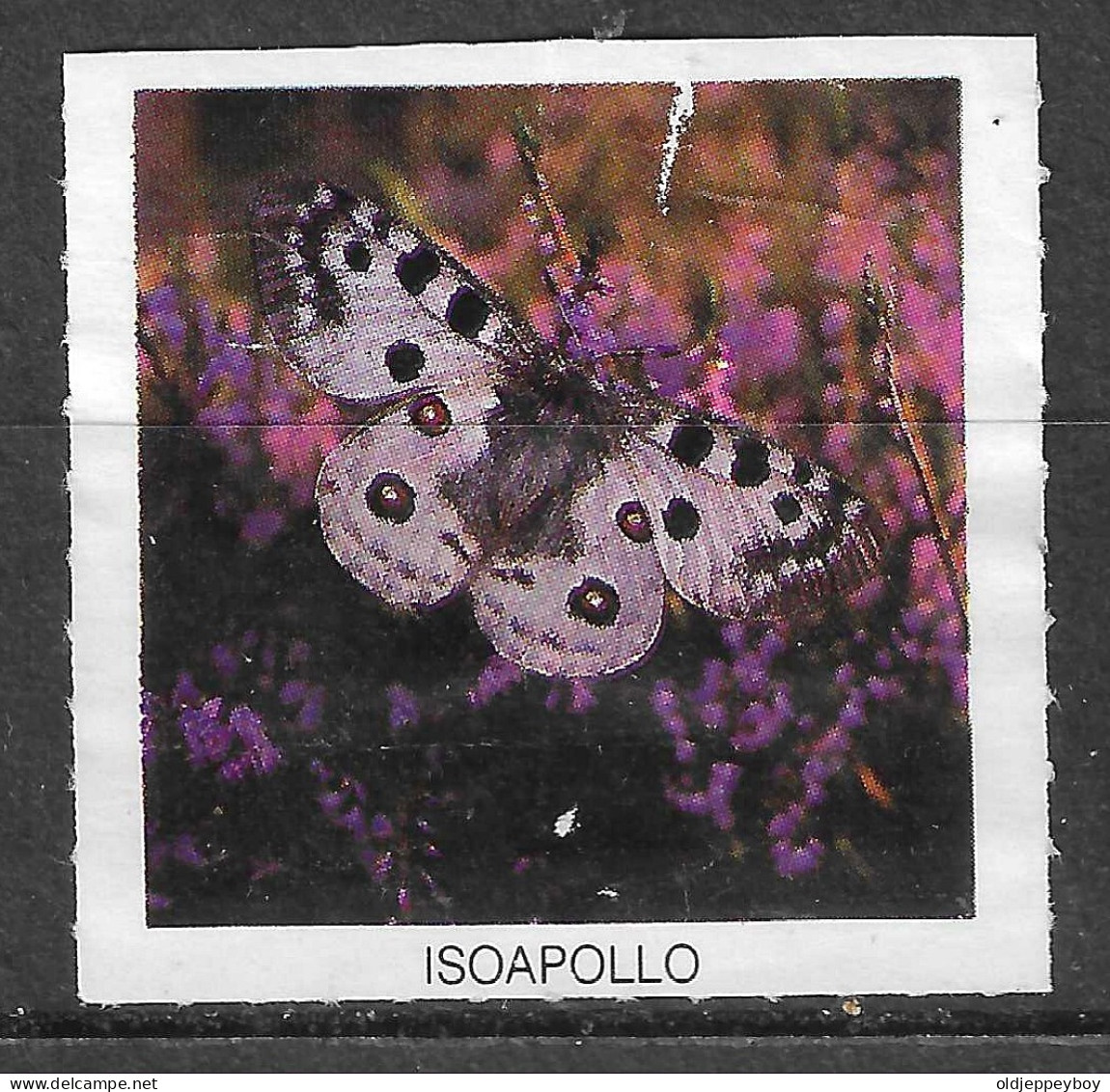 ISOAPOLLO BUTTERFLY  WILDLIFE VIGNETTE Reklamemarke CINDERELLA Erinnophilie - Erinnofilia