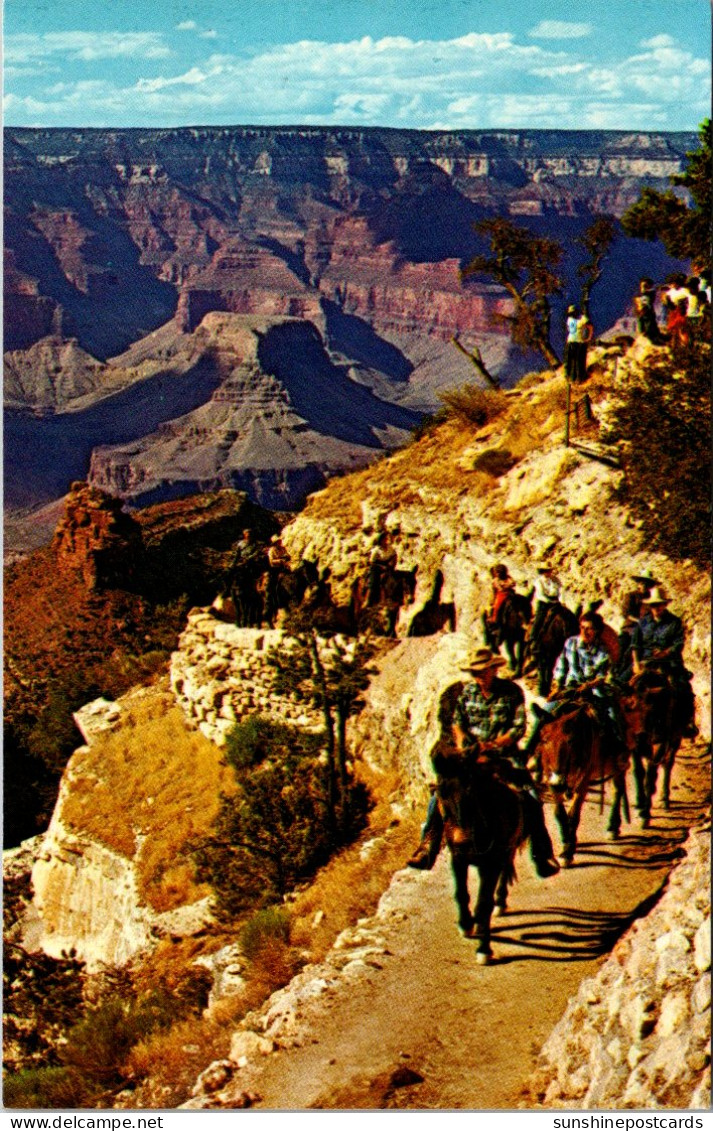 Arizona Grand Canyon Daily Mulr Train At The Top Of Bright Angel Trail - Grand Canyon