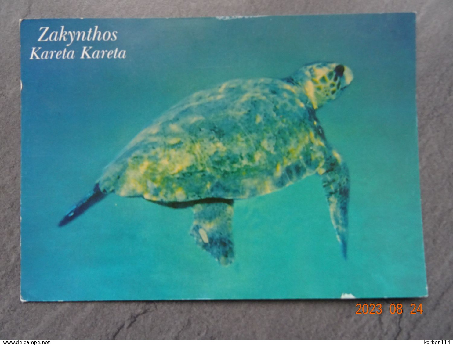 WATERSCHILDPAD - Tortugas