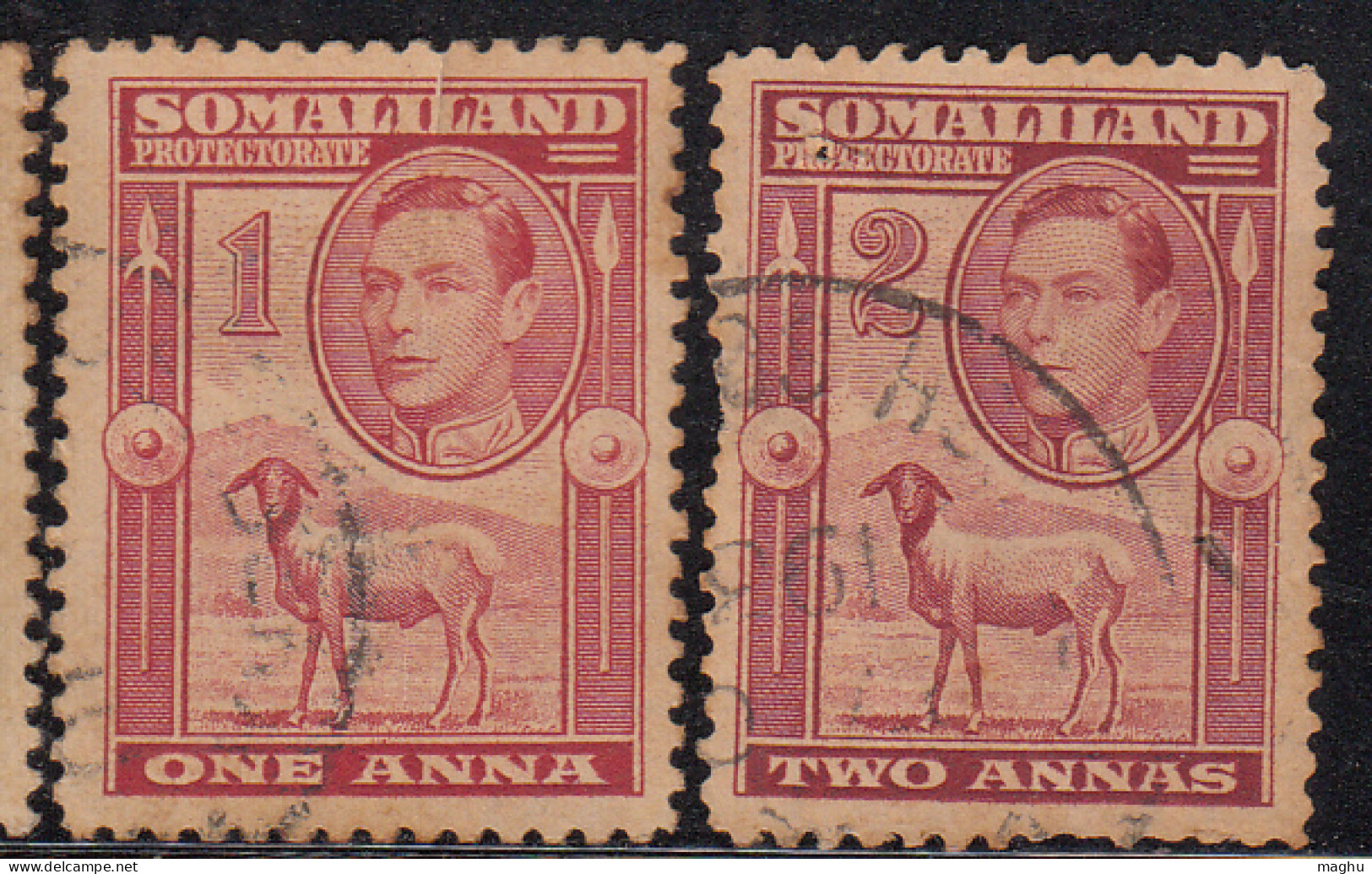 2v  Somaliland Protectorate Used 1938, Portrait To Left, Farm Animal, Sheep, Cond., Perf., Short - Somaliland (Protectorat ...-1959)