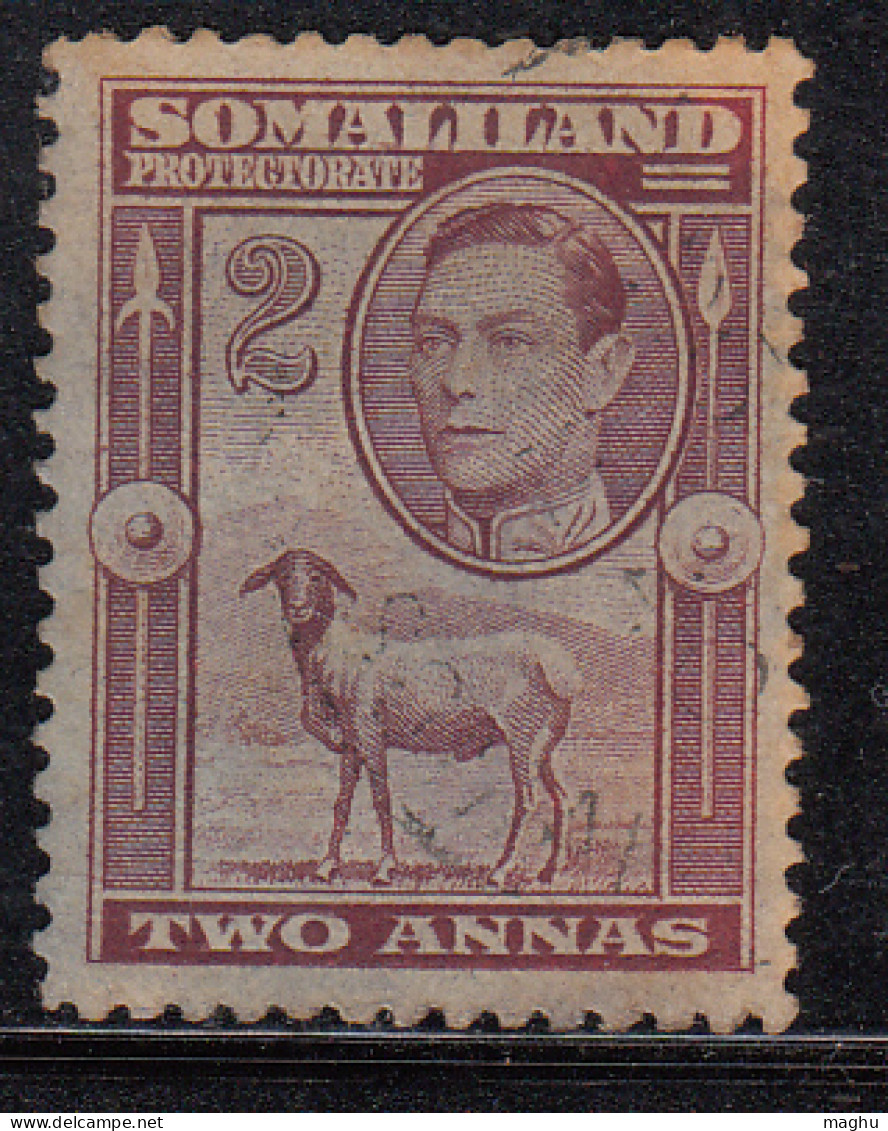 2d  Somaliland Protectorate Used 1938, Portrait To Left, Farm Animal, Sheep - Somalilandia (Protectorado ...-1959)
