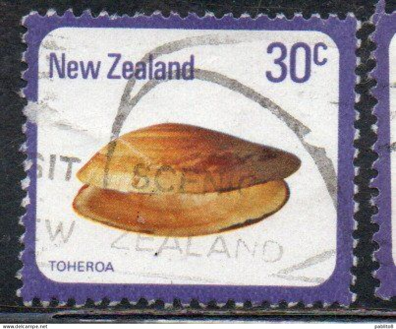 NEW ZEALAND NUOVA ZELANDA 1978 SHELLS TOHEROA PAPHIES VENTRICOSA 30c USED USATO OBLITERE' - Oblitérés