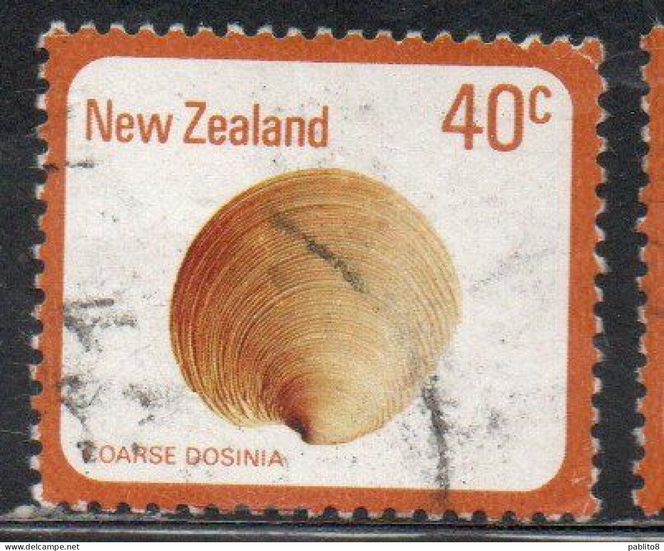 NEW ZEALAND NUOVA ZELANDA 1978 SHELLS COARSE DOSINIA ANUS 40c USED USATO OBLITERE' - Usati