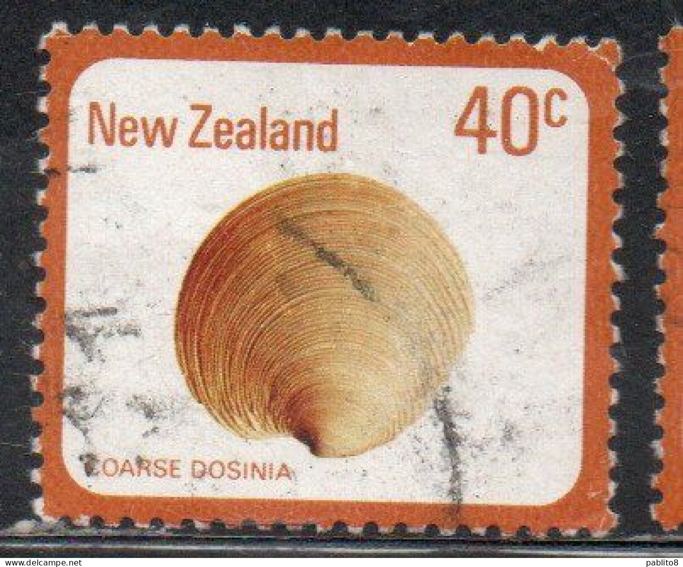 NEW ZEALAND NUOVA ZELANDA 1978 SHELLS COARSE DOSINIA ANUS 40c USED USATO OBLITERE' - Oblitérés