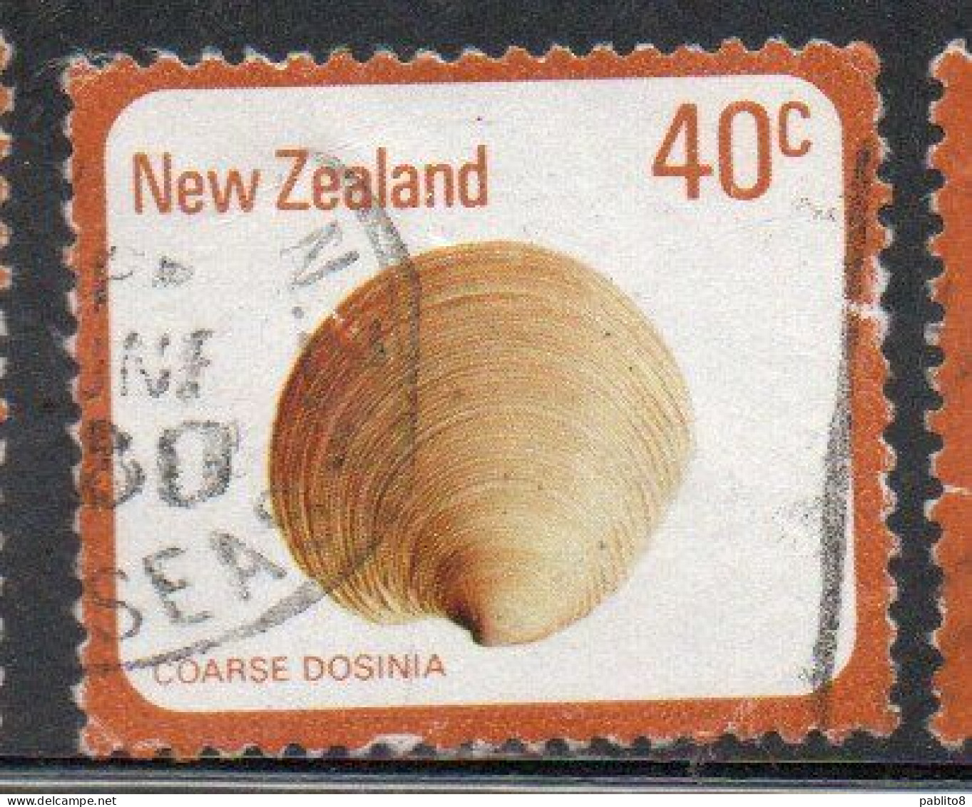 NEW ZEALAND NUOVA ZELANDA 1978 SHELLS COARSE DOSINIA ANUS 40c USED USATO OBLITERE' - Usati