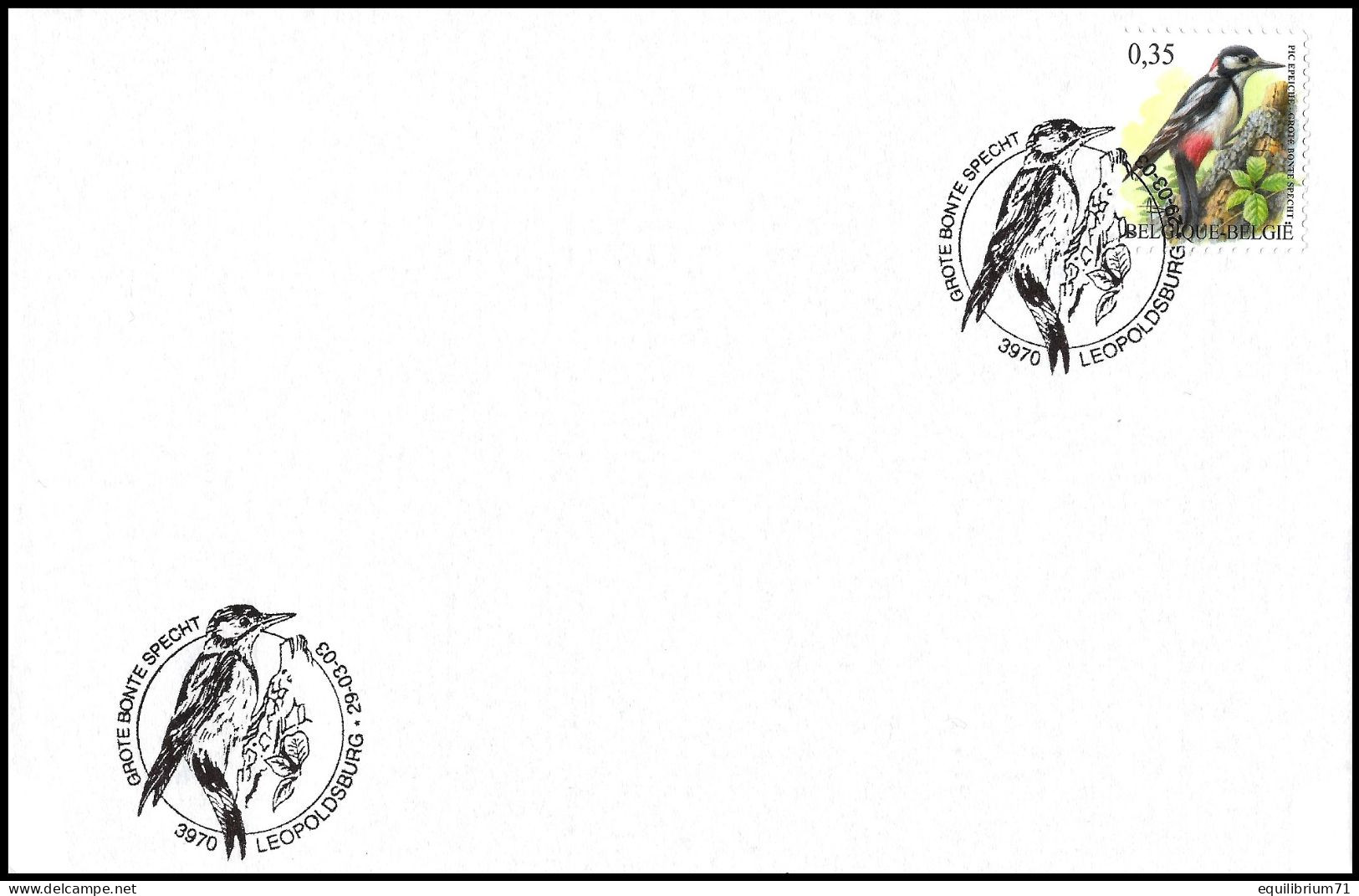 3162° FDC - BUZIN - Pic épeiche / Grote Bonte Specht / Buntspecht / Dendrocopos Major - Leopoldsburg - 29-03-2003 - Piciformes (pájaros Carpinteros)