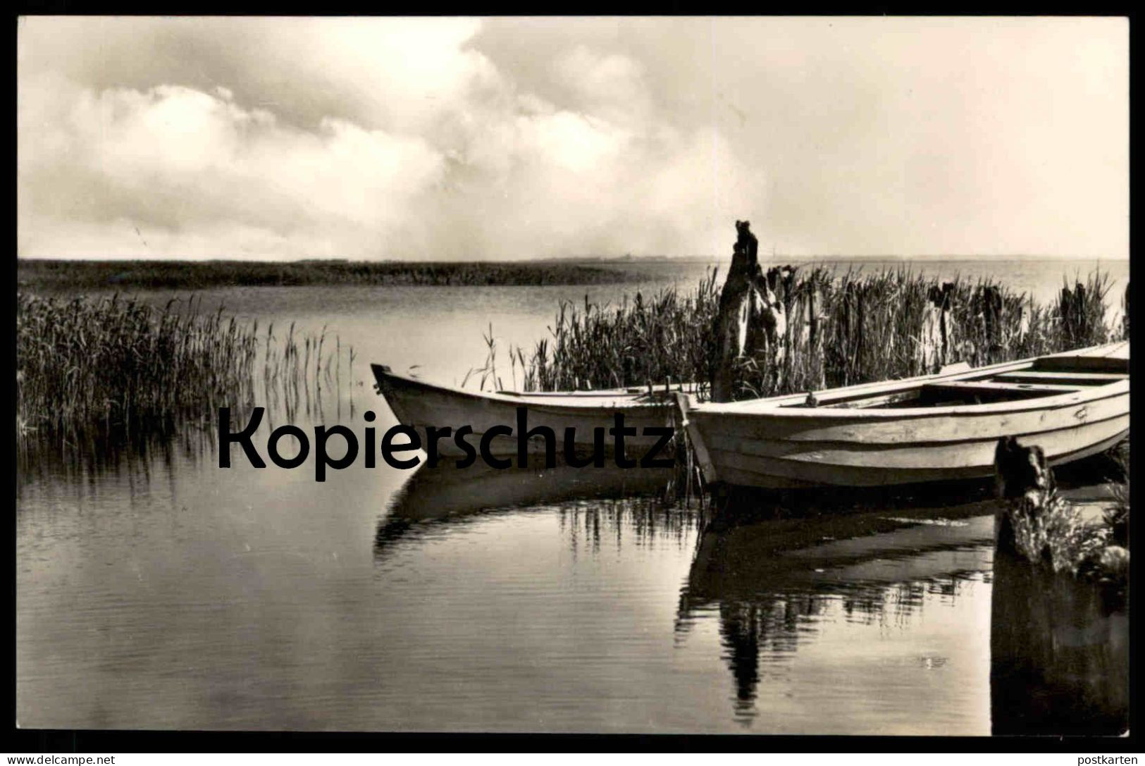 ÄLTERE POSTKARTE OSTSEEBAD DIERHAGEN BLICK AUF DEN BODDEN BOOT FISCHERBOOT PANORAMA WASSER Ansichtskarte Postcard - Fischland/Darss