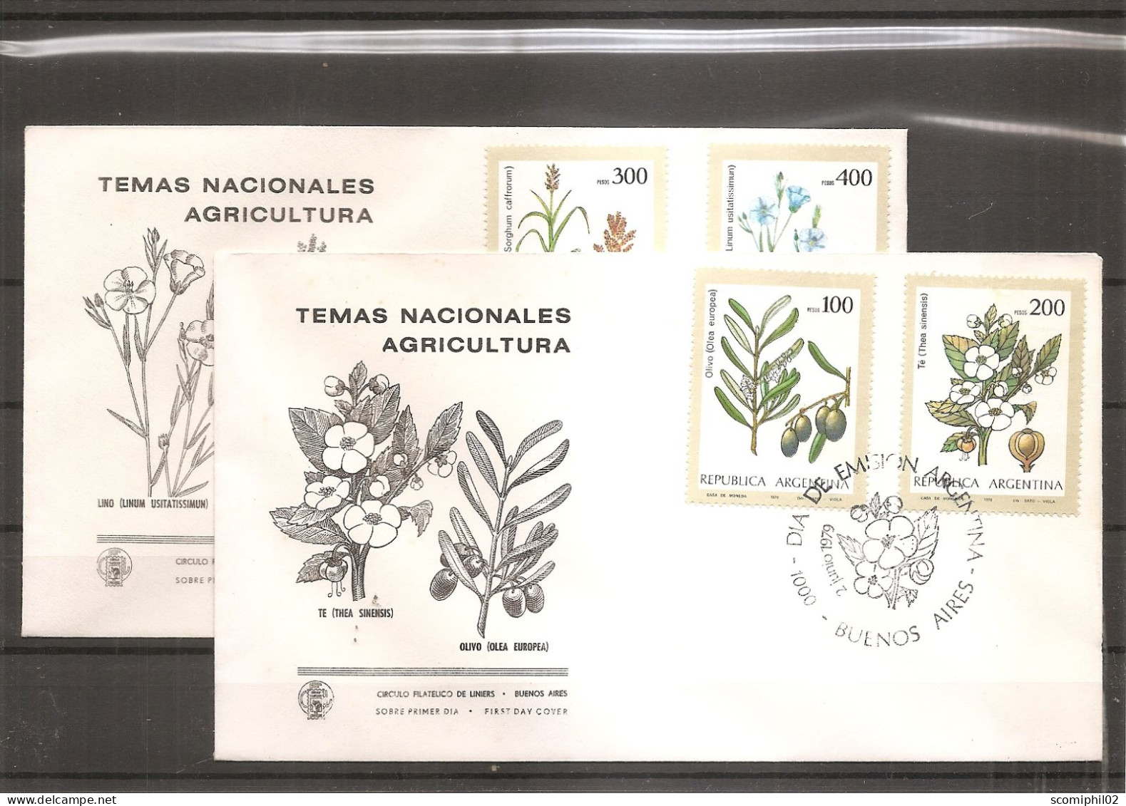 Plantes Médicinales ( 2 FDC D'Argentine De 1979 à Voir) - Plantes Médicinales