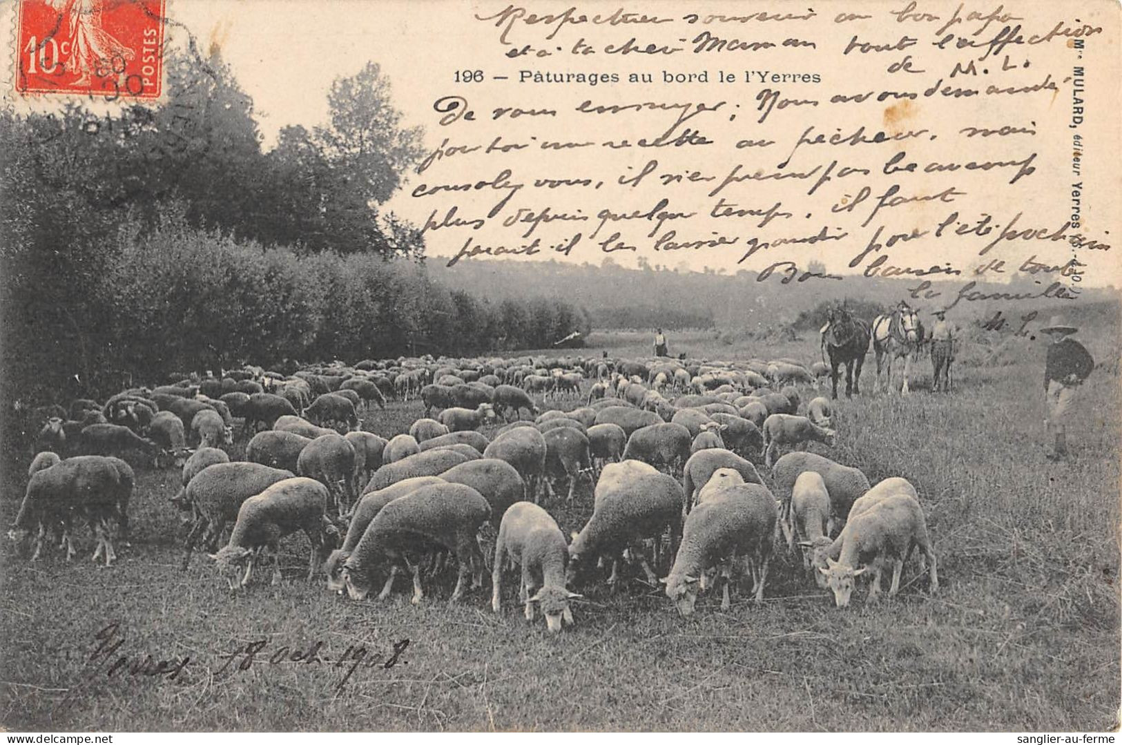 CPA 91 PATURAGES AU BORD DE L'YERRES / MOUTONS / Cliché Rare Avec Le Berger - Andere & Zonder Classificatie