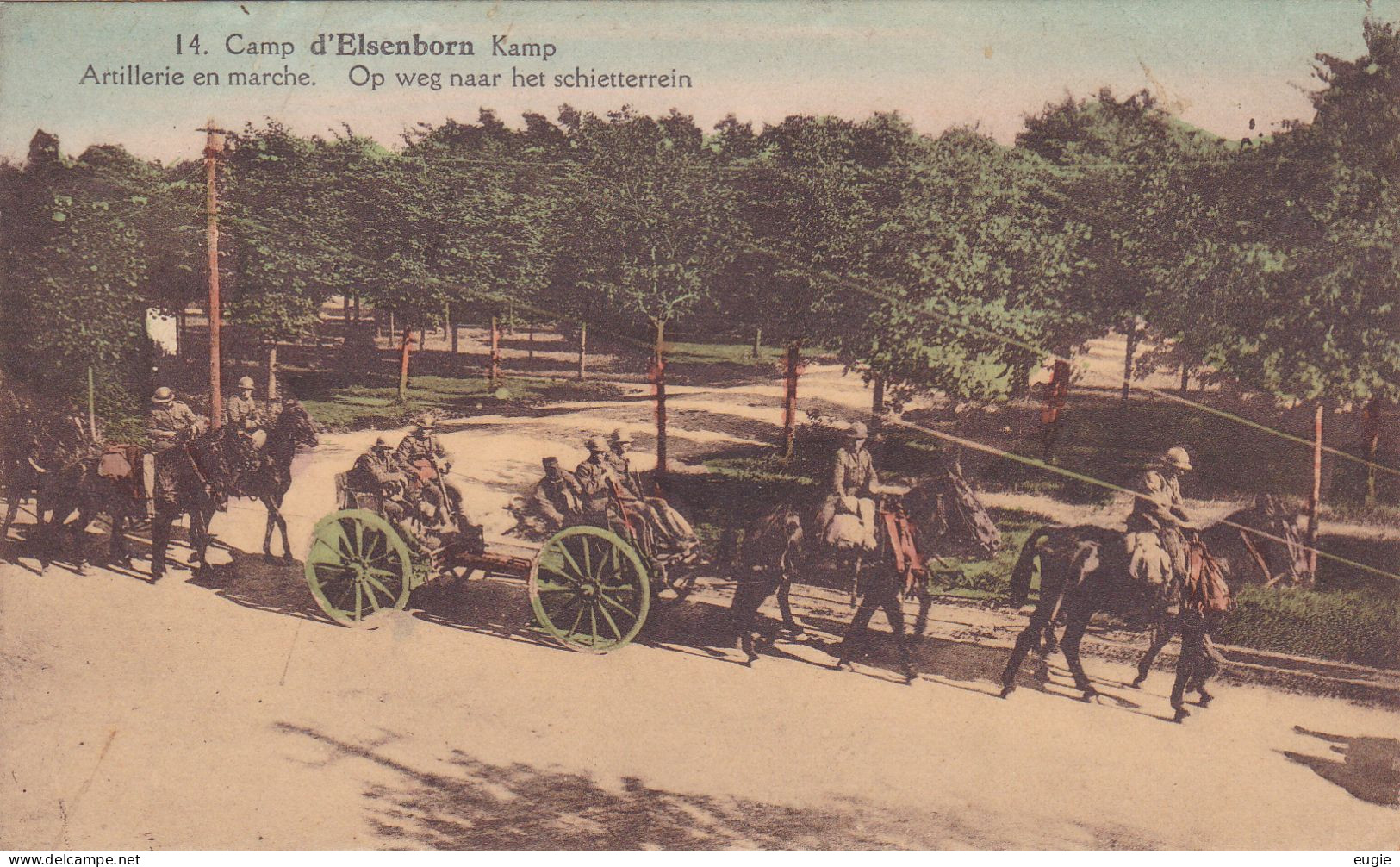 2411/ Camp D'Elsenborn, Artillerie En Marche, Paarden, Militairen Naar Het Schietterrein - Elsenborn (camp)