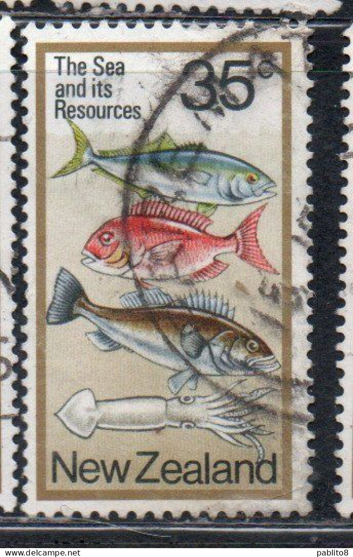 NEW ZEALAND NUOVA ZELANDA 1978 KINGFISH SNAPPER GROUPER AND SQUID 35c USED USATO OBLITERE' - Gebraucht