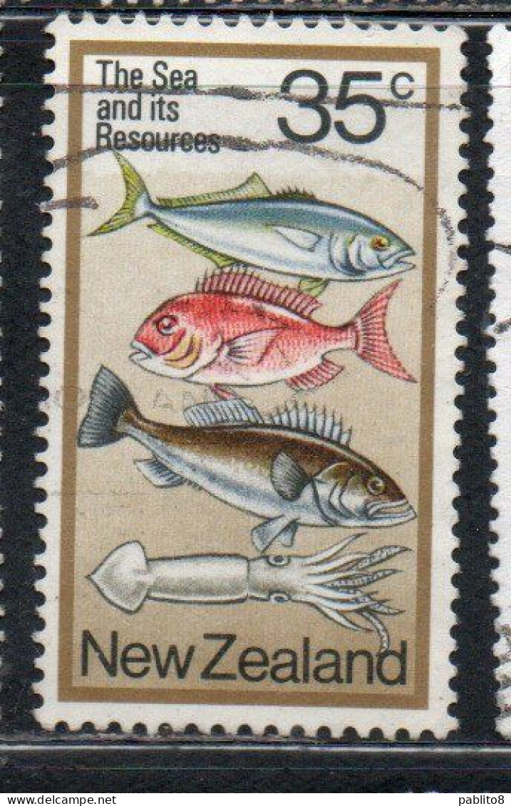 NEW ZEALAND NUOVA ZELANDA 1978 KINGFISH SNAPPER GROUPER AND SQUID 35c USED USATO OBLITERE' - Oblitérés