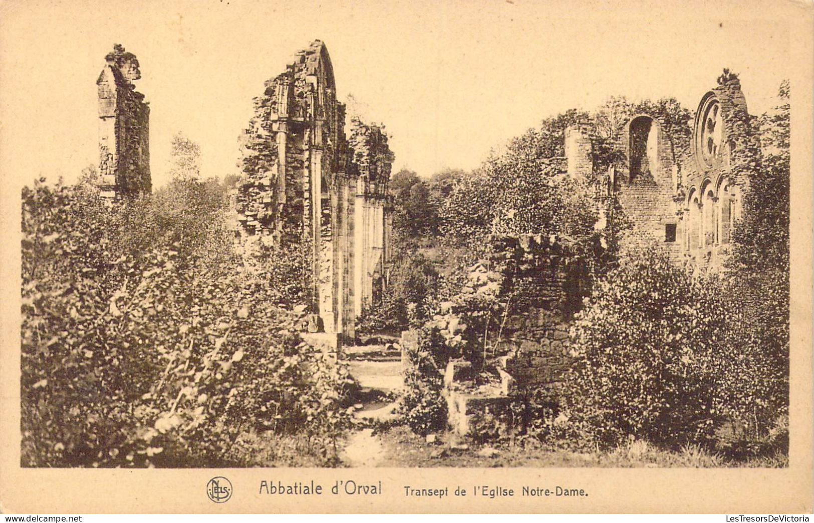 BELGIQUE - Florenville - Abbaye D'Orval - Transept De L'Eglise Notre-Dame - Carte Postale Ancienne - Florenville