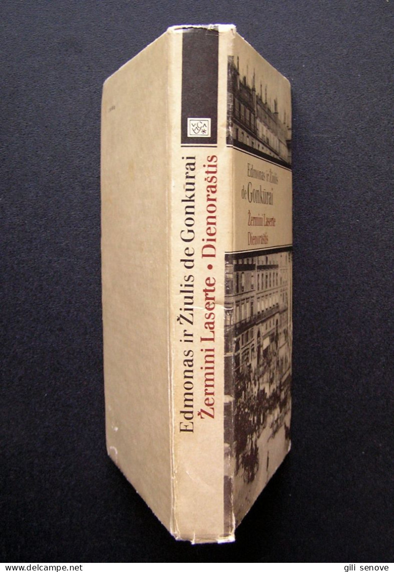 Lithuanian Book / Žermini Laserte. Dienoraštis Gonkūrai 1982 - Romane