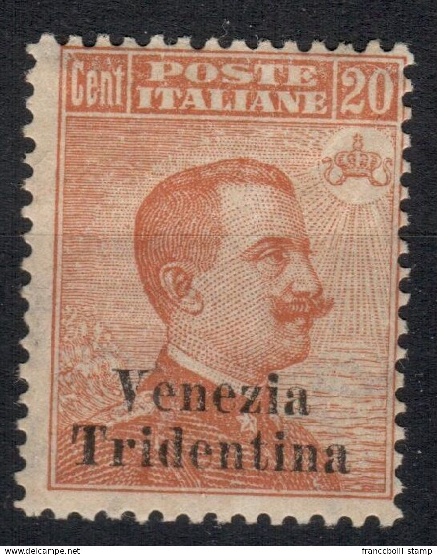 1918 Francobolli D'Austria Venezia Tridentina MLH - Trente