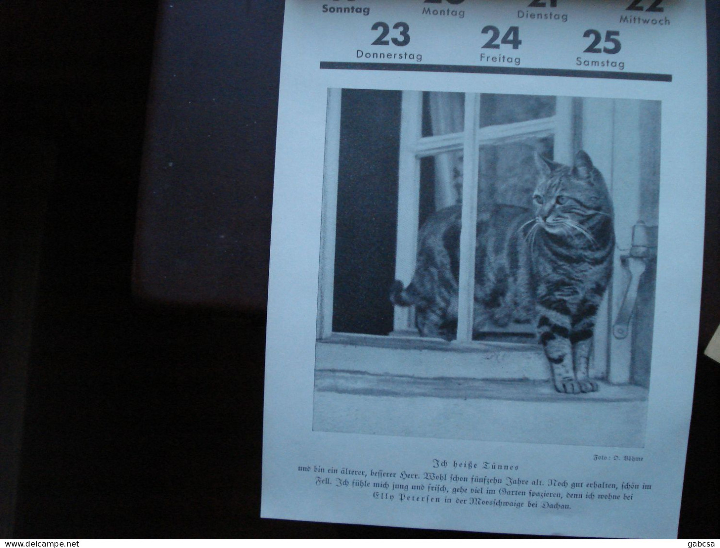 Elly Petersen Hunde und Katzen 1932 Kalendar
