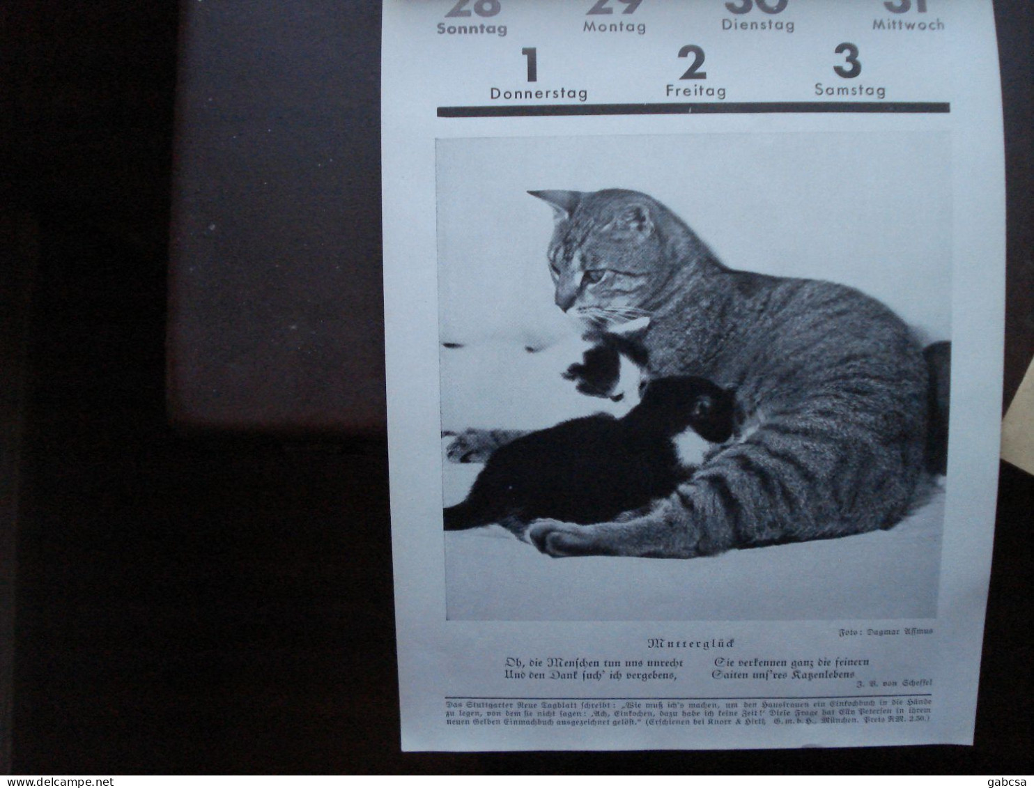 Elly Petersen Hunde und Katzen 1932 Kalendar