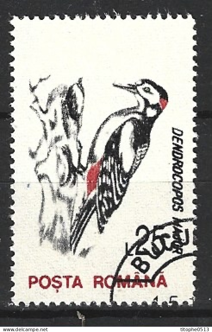 ROUMANIE. N°4068 Oblitéré De 1993. Pic-épeiche. - Piciformes (pájaros Carpinteros)