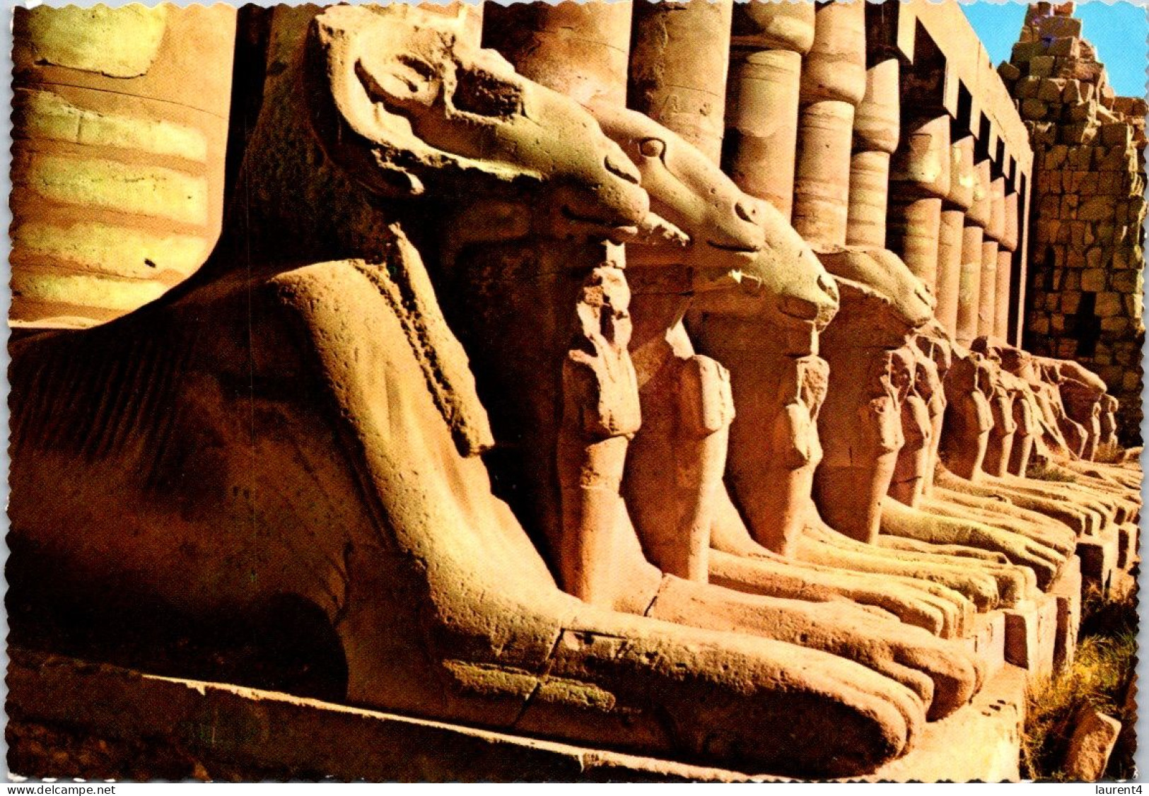 28-8-2023 (3 T 27) Egypt - Sphinx In Karnak - Sfinge