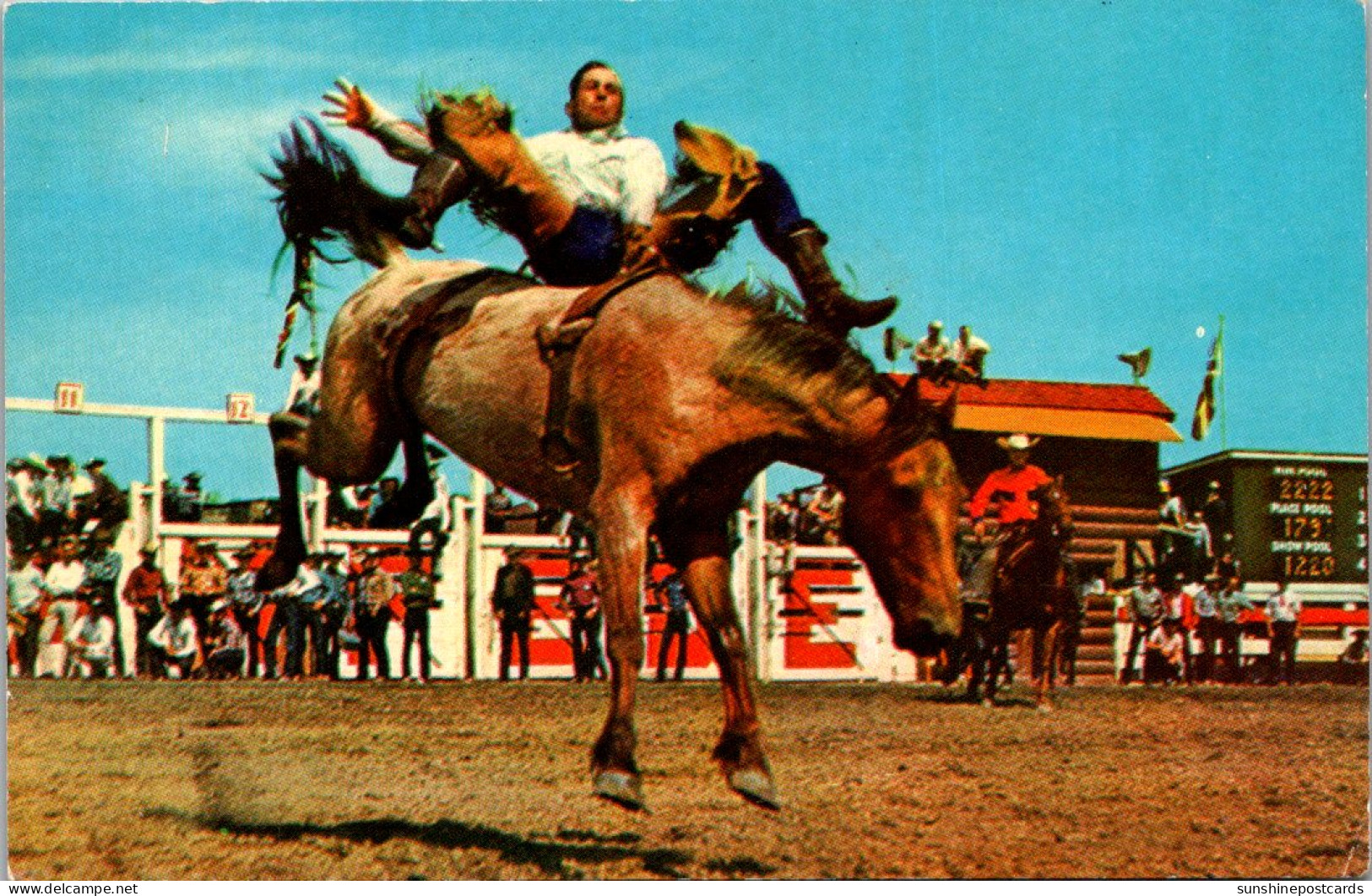 Canada Calgary Stampede Bronc Riding  - Calgary