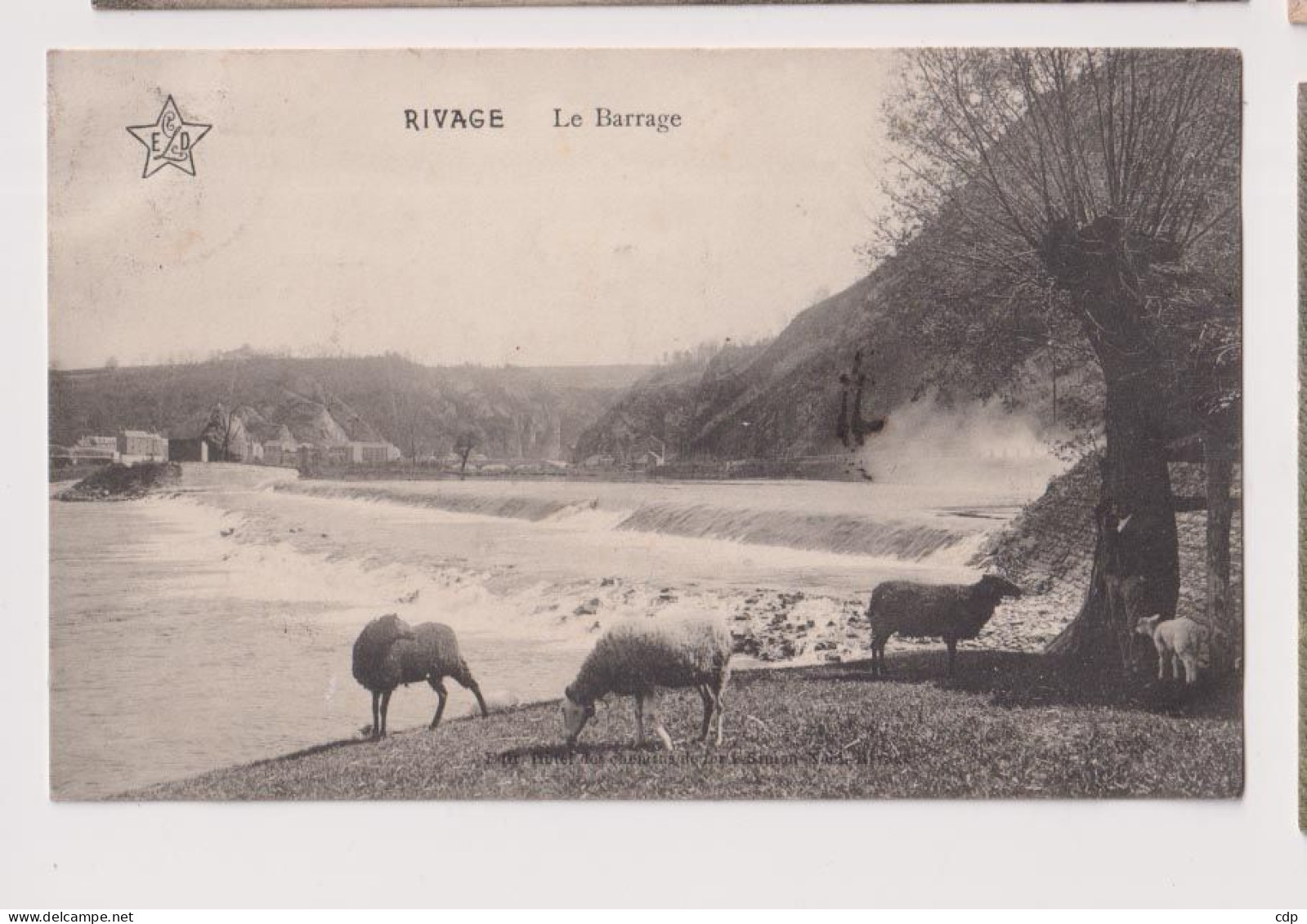 Cpa Rivage  1912   Moutons - Comblain-au-Pont