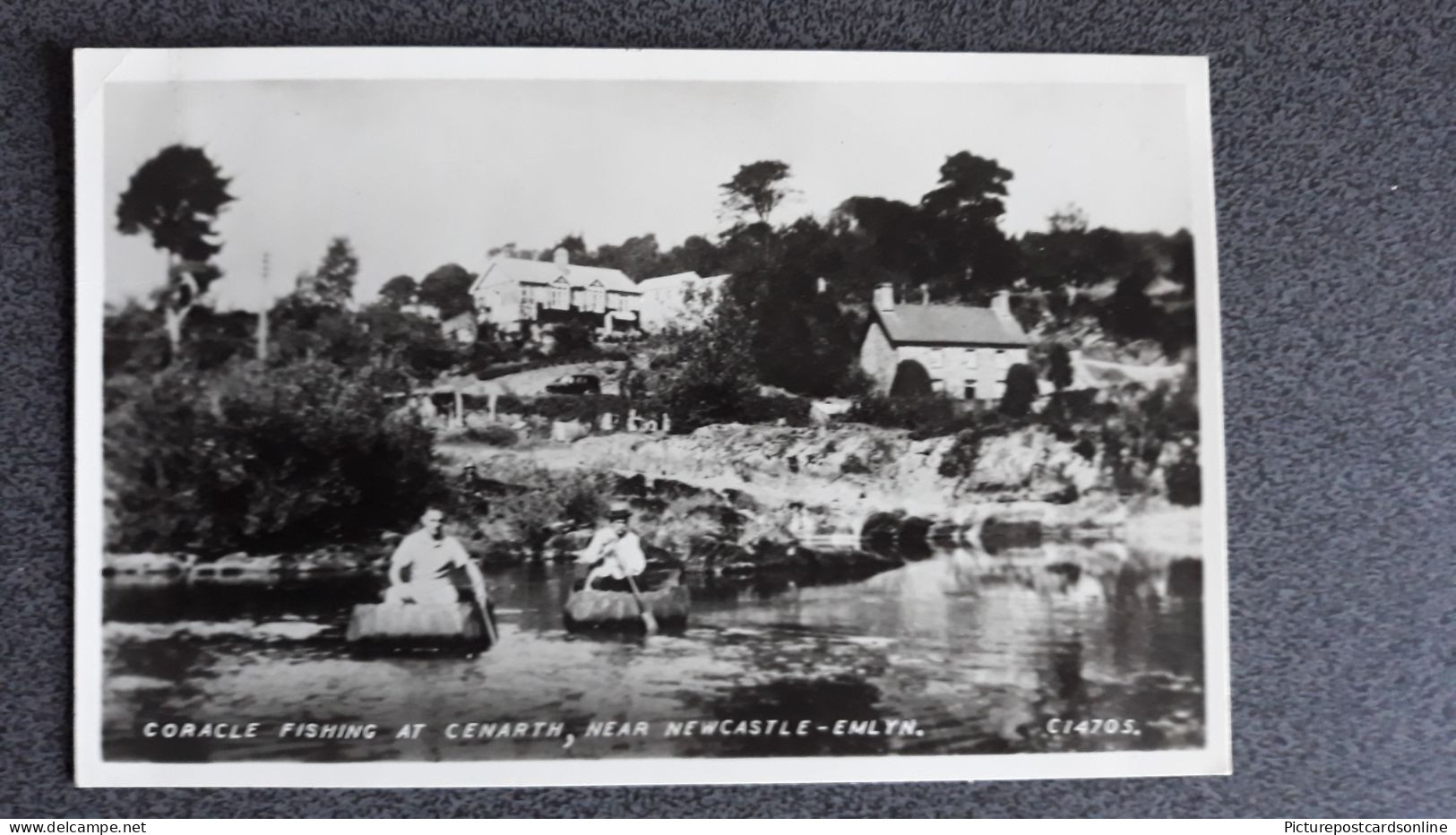 NEWCASTLE EMLYN CORACLE FISHING AT CENARTH OLD R/P POSTCARD WALES - Carmarthenshire