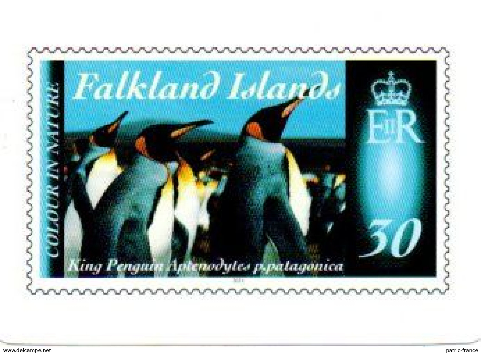 Antarctique BAT SOUTH GEORGIA FALKLAND - mini calendriers manchots penguins