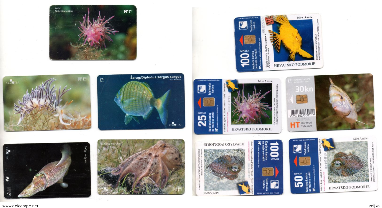 Croatia, Underwater Life, Fish, Lot 5 Cards - Fische