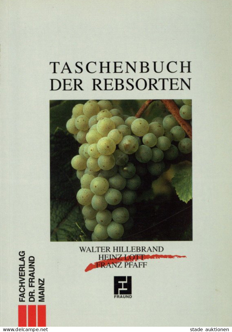 Buch Taschenbuch Der Rebsorten Von Hillebrand, Lott Und Pfaff 1993, Fachverlag Fraund Mainz, 462 S. I-II - Autres & Non Classés