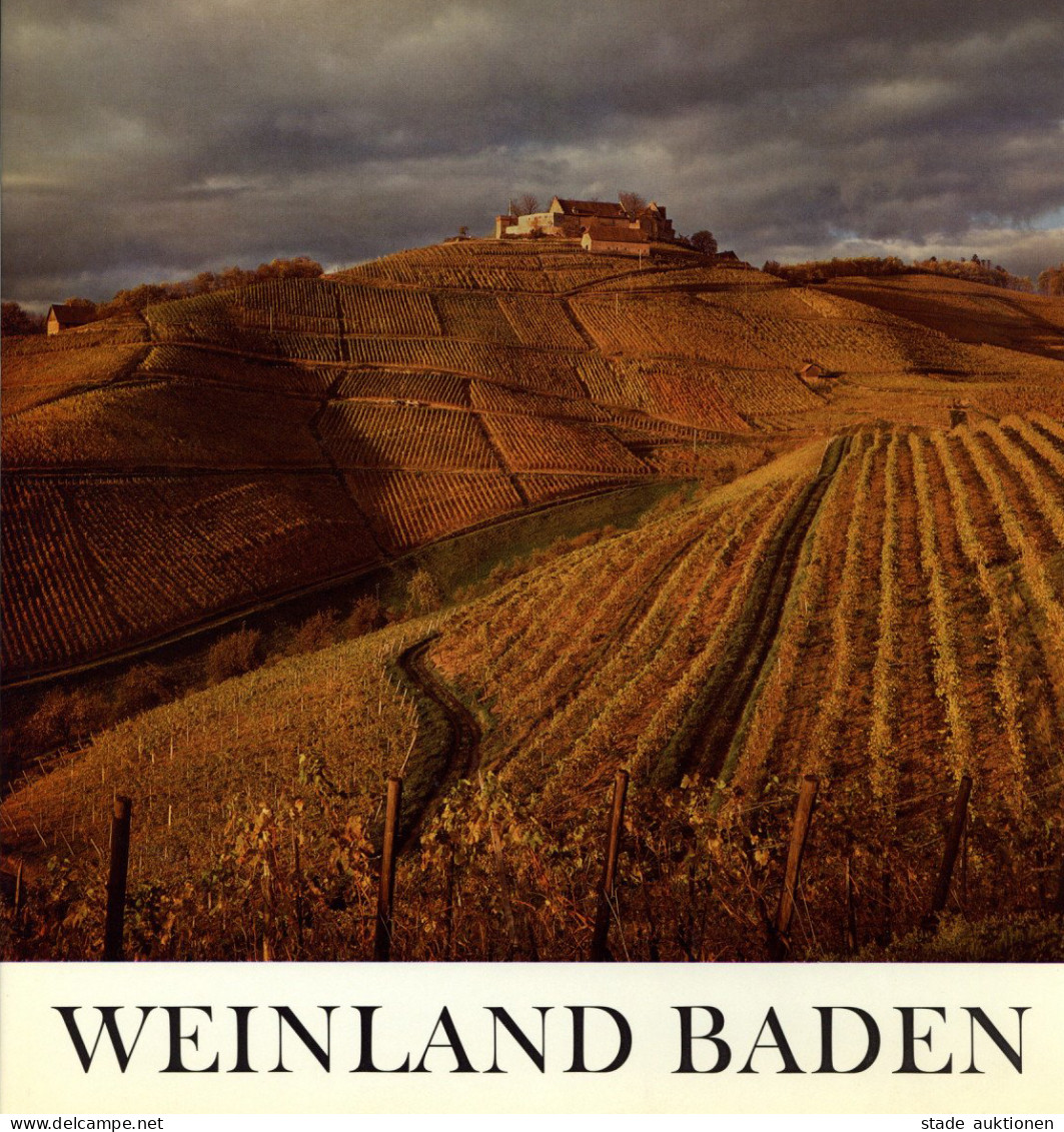 Buch Weinland Baden Von Eugen Herwig 1969, Südwestdeutsche Verlagsanstalt Mannheim, 190 S. Mit Schuber I-II - Autres & Non Classés