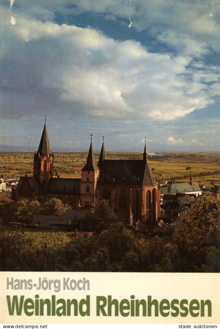 Buch Weinland Rheinhessen Von Hans-Jörg Koch 1976, Südwestdeutsche Verlagsanstalt Mannheim, 315 S. Inkl. Weinfahrten-Kar - Altri & Non Classificati