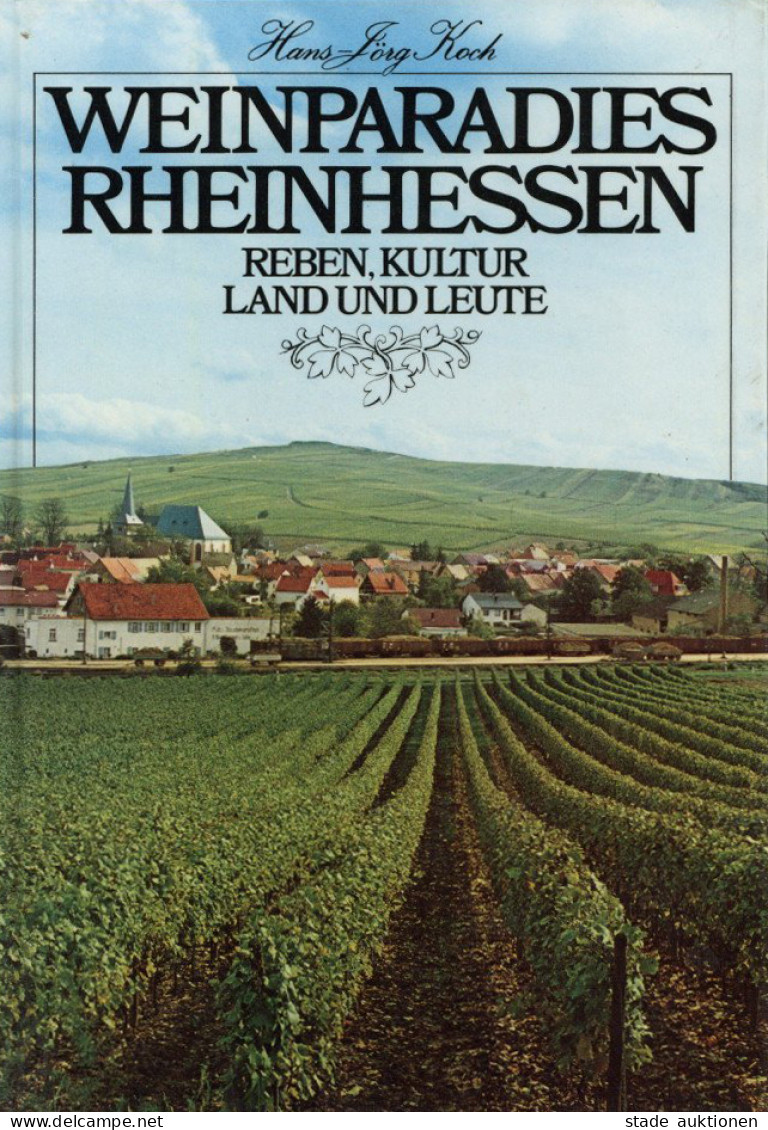 Buch Weinparadies Rheinhessen Reben, Kultur Land Und Leute Von Hans-Jörg Koch 1982, Verlag Der Rheinhessischen Druckwerk - Sonstige & Ohne Zuordnung