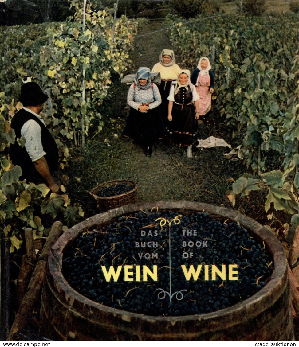 Wein Buch The Book Of Wine Verlag Artia Prag 1964, 70 Fotos Von Jan Lukas über Den Weinbau Der Tschecheslowakei II (Papi - Autres & Non Classés