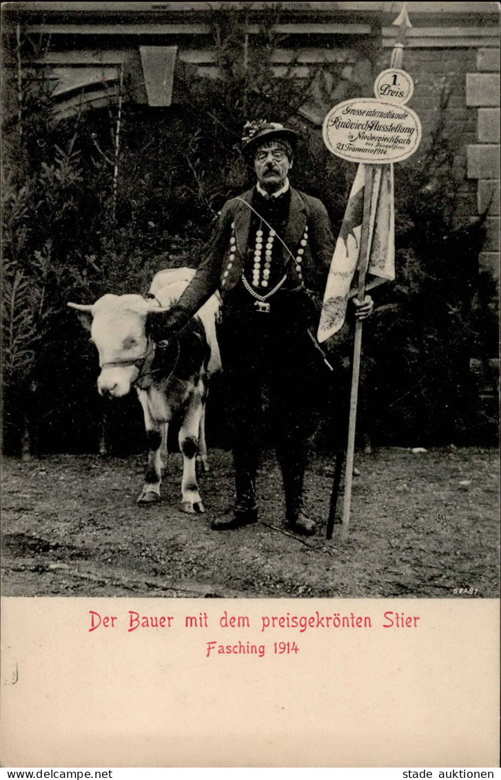 Landwirtschaft Bauer Mit Preisgekrönten Stier Fasching 1914 I- Paysans - Sonstige & Ohne Zuordnung