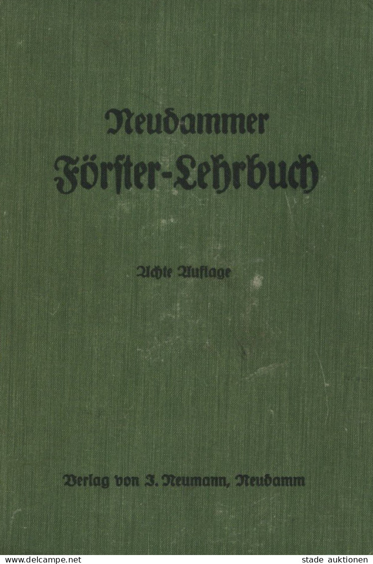 Buch Förster Lehrbuch 1929 Verlag Neumann Neudamm 772 Seiten Viele Abbildungen Und Tafen II (Buchrücken Teils Lose) - Autres & Non Classés