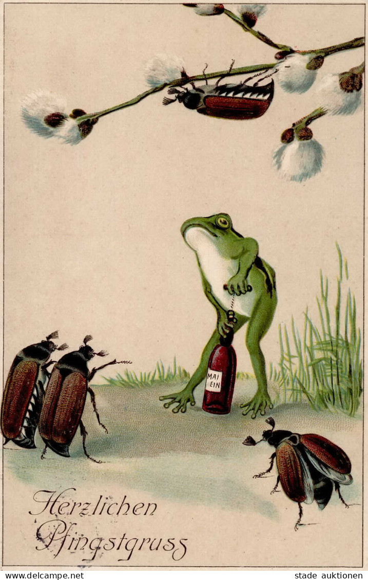 Frosch Vermenschlicht Pfingsten Pfingstkäfer Prägedruck 1913 I-II (Ecke Gestaucht) Grenouille - Altri & Non Classificati