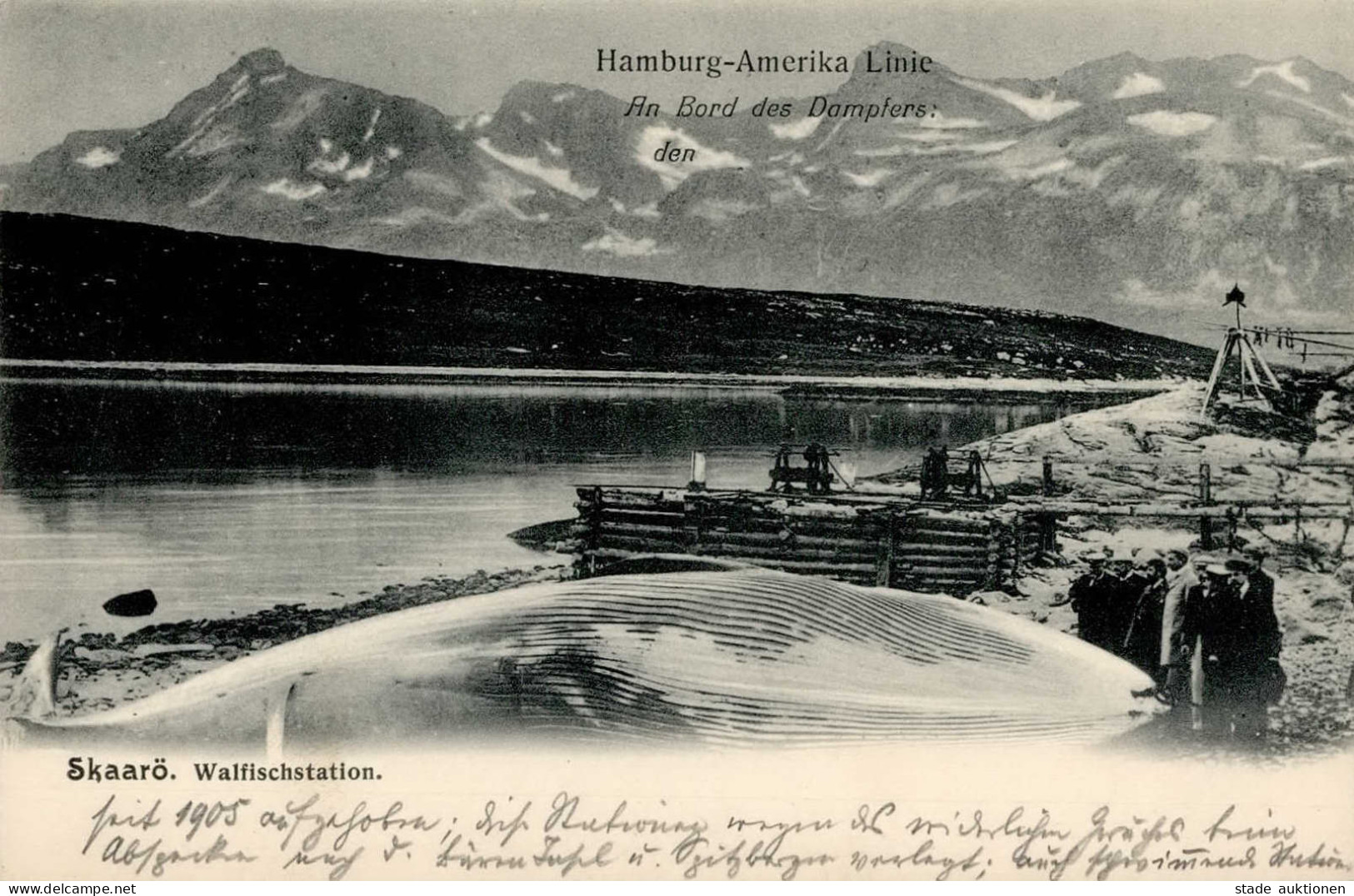 Walfang Skaarö Walfischstation Von Bordd Der Hamburg-Amerika Linie I-II - Other & Unclassified