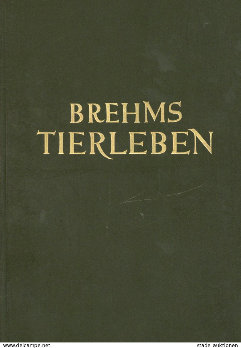 Buch Brehms Tierleben In Einem Band Von Georg Grimpe 1928, Verlag Bibliographisches Institut Leipzig, 837 S. II - Autres & Non Classés