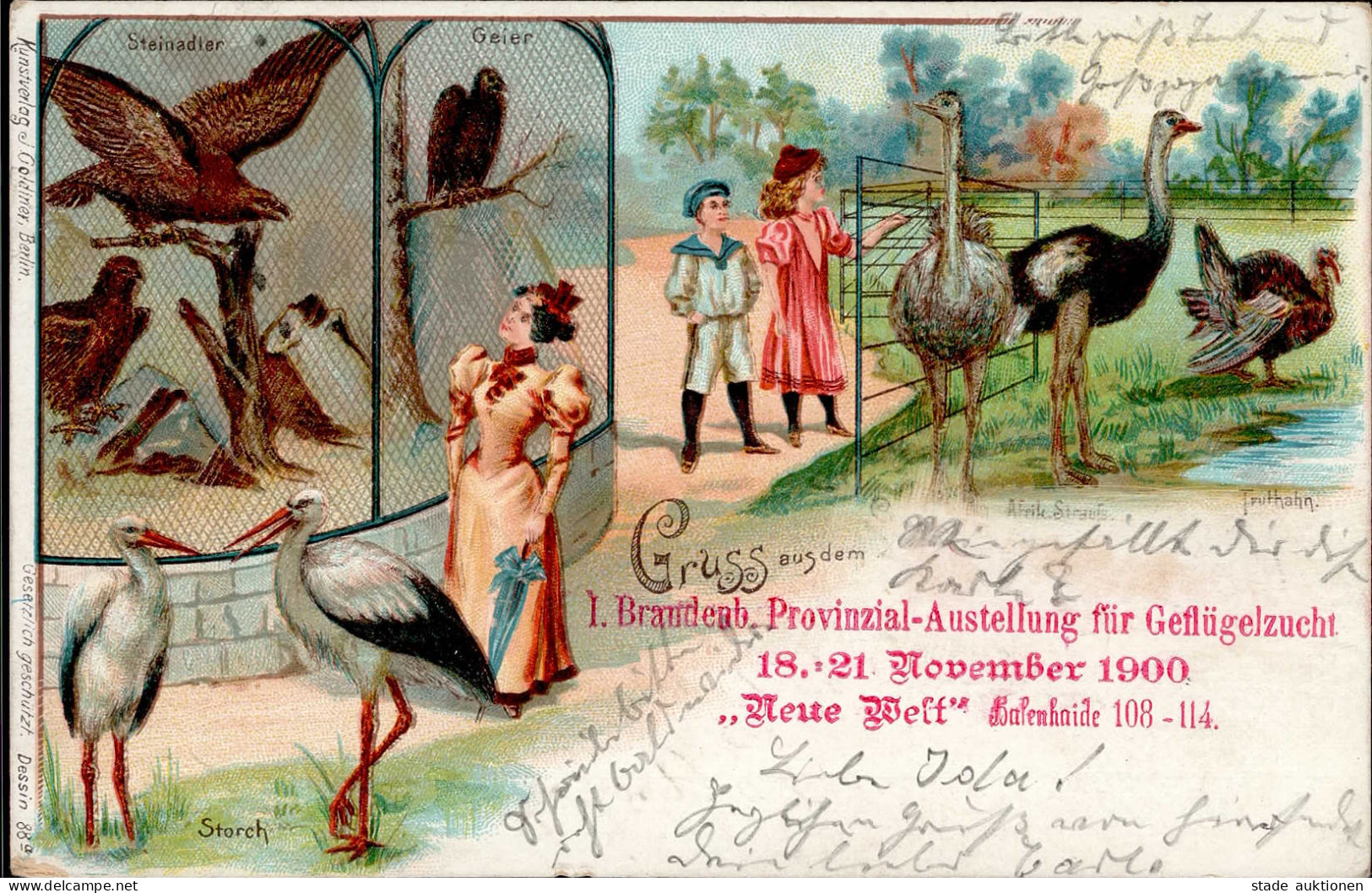 Geflügel, Brandenburg (o-1800) 1- Provinzial Ausstellung Für Geflügelzucht 18.-21. November 1900 Steinadler, Stroch, Gei - Birds