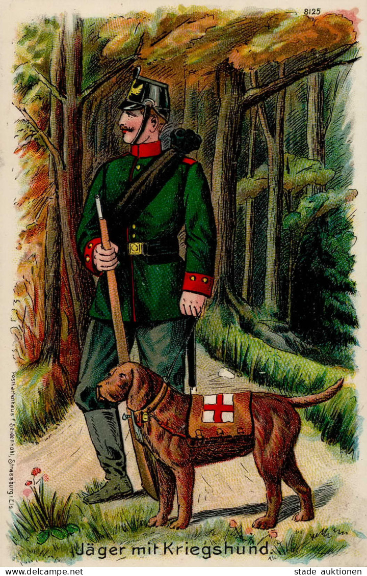 Regiment Jäger Mit Kriegshund Rotes Kreuz 1908 I-II - Regimente